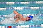 Swimming & Diving vs Babson  Swimming & Diving vs Babson College. - Photo by Keith Nordstrom : Wheaton, Swimming